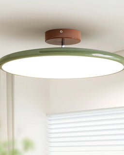 Drift Adjustable Ceiling Light